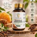 VitaliQuilibre Propolis 60 gélules